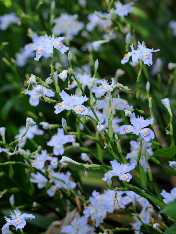 %_tempFileName03-20080506-0237%
