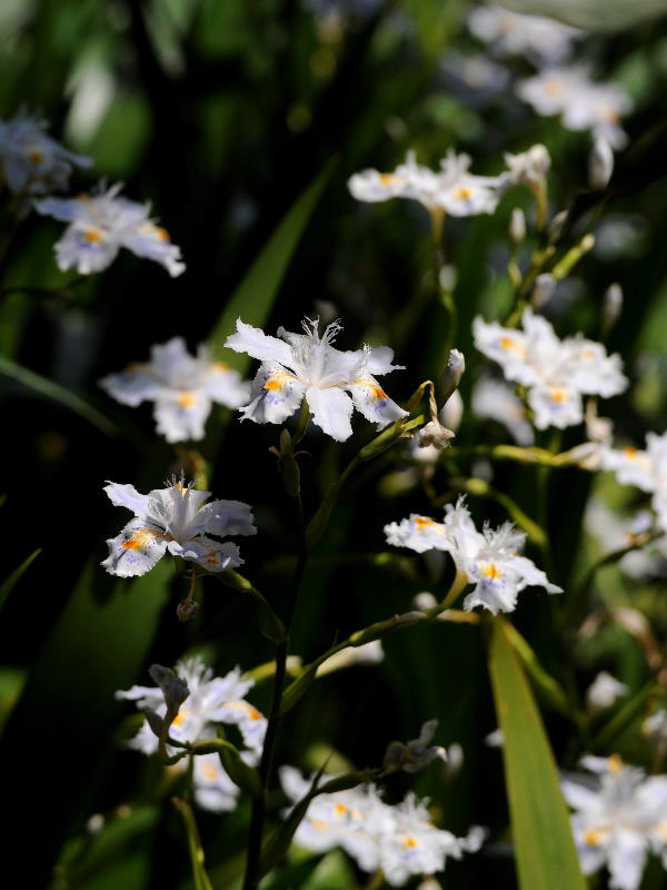 %_tempFileName05-20100503-0227%