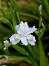 %_tempFileName01-20060416-0280%