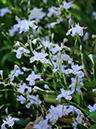 %_tempFileName03-20080506-0237%