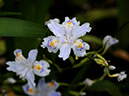 %_tempFileName04-20090503-0010%