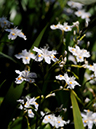 %_tempFileName05-20100503-0227%