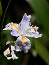 %_tempFileName06-20100503-0228%