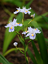 %_tempFileName07-20100509-0298%