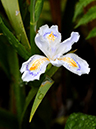 %_tempFileName08-20110409-0321%