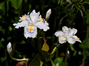 %_tempFileName09-20110505-0881%