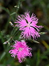 %_tempFileName05-20091025-0278%
