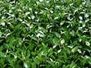 %_tempFileName05-20080622-0249%