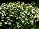%_tempFileName09-20110703-0301%
