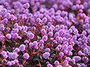 %_tempFileName01-20071216-0412%