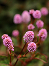 %_tempFileName04-20091025-0249%