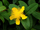 %_tempFileName01-20090607-0183%