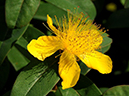 %_tempFileName02-20090607-0246%