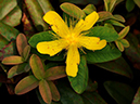 %_tempFileName05-20100731-0238%