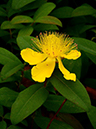 %_tempFileName06-20120603-0431%