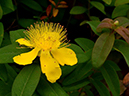 %_tempFileName07-20120603-0432%