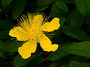 %_tempFileName08-20120603-0437%