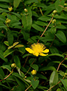 %_tempFileName09-20120603-0470%