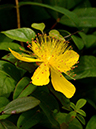 %_tempFileName10-20120623-0220%