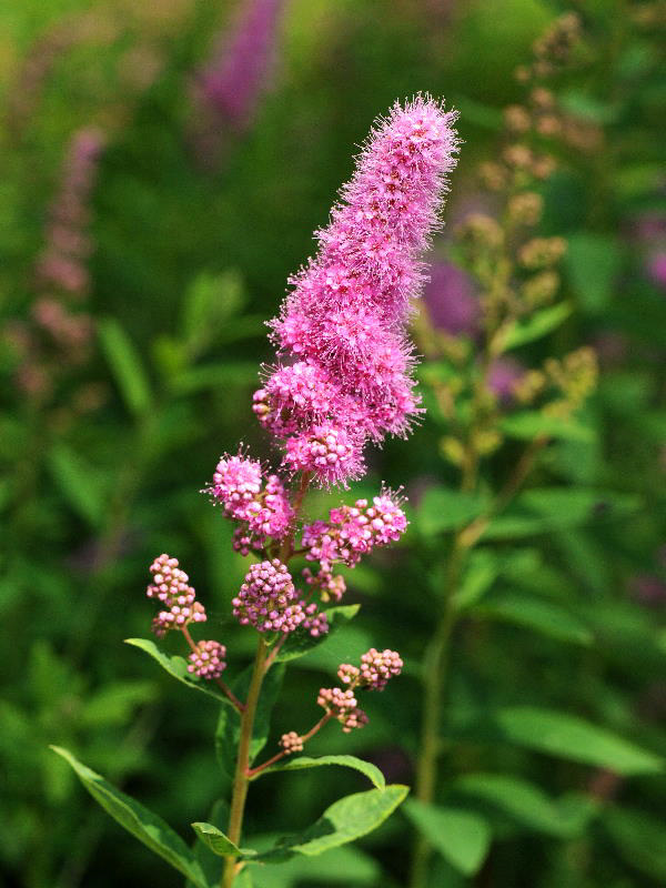 %_tempFileName03-20090607-0238%