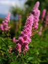 %_tempFileName01-20090607-0237%