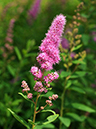 %_tempFileName03-20090607-0238%