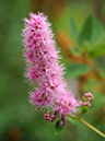 %_tempFileName04-20090628-0420%