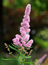 %_tempFileName06-20100627-0167%