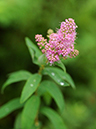 %_tempFileName07-20100815-0209%