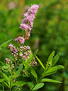 %_tempFileName08-20110626-0184%
