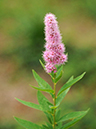 %_tempFileName09-20110703-0300%