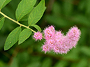 %_tempFileName10-20130630-0265%