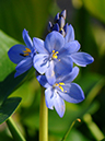 %_tempFileName04-20050820-0072%