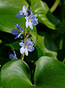 %_tempFileName05-20050820-0107%