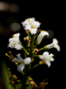 %_tempFileName01-20110505-0819%