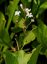 %_tempFileName02-20090503-0020%