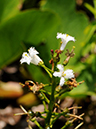 %_tempFileName03-20100503-0233%