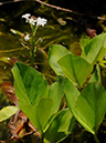 %_tempFileName04-20100503-0237%