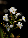 %_tempFileName05-20110505-0819%