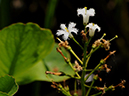 %_tempFileName06-20110505-0820%