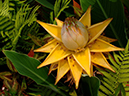 %_tempFileName01-20050619-0260%