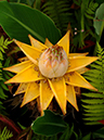 %_tempFileName02-20050612-0381%