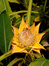 %_tempFileName03-20070923-0171%