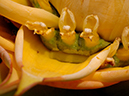 %_tempFileName04-20070923-0174%