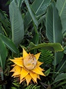 %_tempFileName05-20080622-0239%