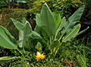 %_tempFileName06-20090711-0256%