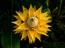 %_tempFileName10-20120729-0237%