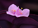 %_tempFileName01-20050904-0063%