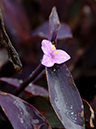 %_tempFileName02-20060625-0284%