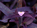 %_tempFileName03-20060820-0232%